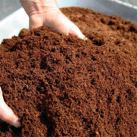 کوکوپیت | قالبی | 5 کیلویی | خاک کوکوپیت چیست | لیست قیمت