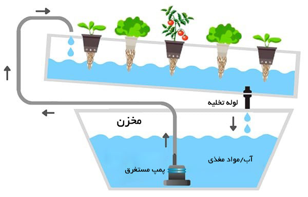 آبیاری گلخانه هیدروپونیک به روش ریشه در معرض هوا